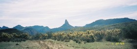 photo thumbnail #2