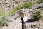 photo thumbnail #10