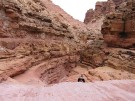 photo thumbnail #15
