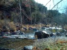 photo thumbnail #8