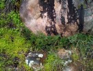photo thumbnail #10