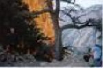 photo thumbnail #8