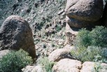 photo thumbnail #8