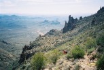 photo thumbnail #12