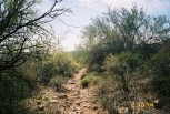 photo thumbnail #14