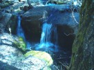 photo thumbnail #12