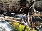 photo thumbnail #13