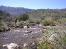 photo thumbnail #4