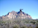 photo thumbnail #6