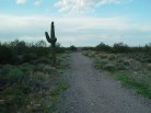 photo thumbnail #1