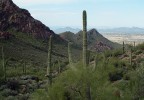 photo thumbnail #6