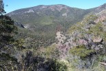 photo thumbnail #7