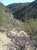 photo thumbnail #2