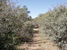 photo thumbnail #6