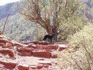 photo thumbnail #8