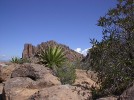 photo thumbnail #12