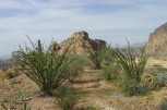 photo thumbnail #4