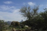 photo thumbnail #13