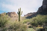 photo thumbnail #12