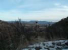 photo thumbnail #4