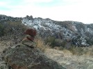 photo thumbnail #6