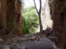 photo thumbnail #12