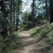 photo thumbnail #9