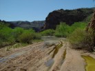 photo thumbnail #11