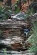 photo thumbnail #2