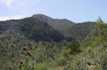 photo thumbnail #1