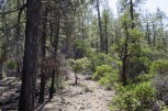 photo thumbnail #3