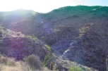 photo thumbnail #7