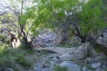 photo thumbnail #9