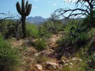 photo thumbnail #1