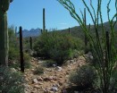 photo thumbnail #5