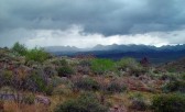 photo thumbnail #1
