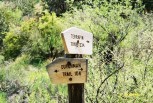 photo thumbnail #15