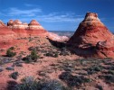 photo thumbnail #4