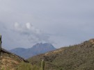 photo thumbnail #14