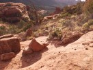 photo thumbnail #11