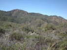 photo thumbnail #13