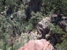 photo thumbnail #13