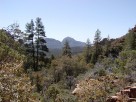 photo thumbnail #11