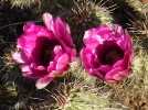 photo thumbnail #1