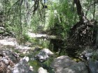 photo thumbnail #1