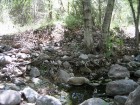 photo thumbnail #2