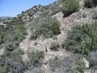 photo thumbnail #8