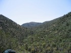 photo thumbnail #10