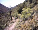 photo thumbnail #3