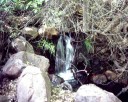 photo thumbnail #12